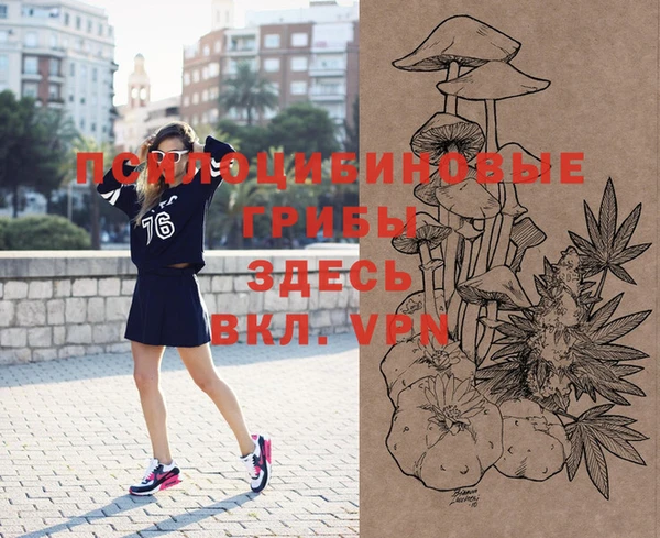 скорость Вяземский
