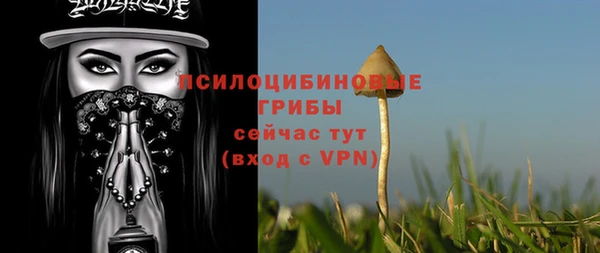 скорость Вяземский