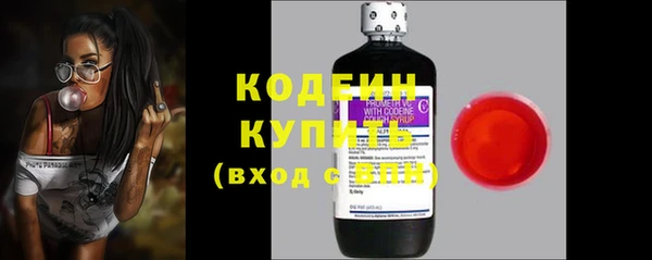 скорость Вяземский