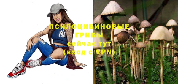 скорость Вяземский