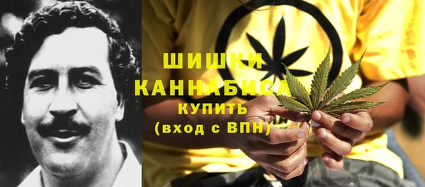 скорость Вяземский