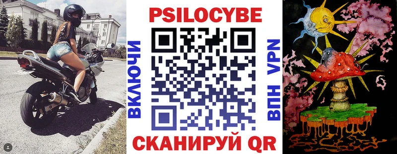 Псилоцибиновые грибы Psilocybe  где можно купить наркотик  Железногорск 