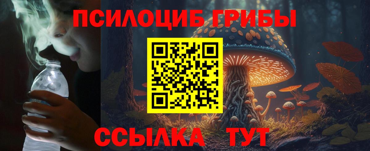 Галлюциногенные грибы мухоморы  Галлюциногенные грибы Magic Shrooms  Железногорск  Вход с VPN 