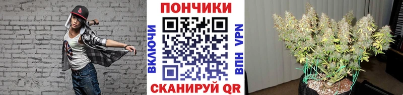 это как зайти  Железногорск  МАРИХУАНА Bruce Banner  omg как войти 
